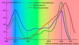 aktivnosti-processov-rasteniya-i-spektra-izlucheniya__4VDYqmnZJjkHW6st.jpg
