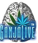 brain-marijuana-thc-thumb-225x252.jpeg