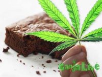 Marijuana-Brownies.jpg