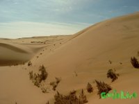 Gobi_Desert.jpg