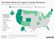 cannabisnews-1-4-500x356.jpg
