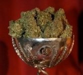 cannabiscup_2009.jpg