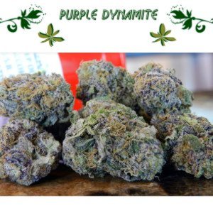 Purple Dynamite